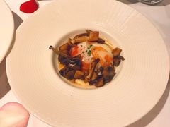 -蝶舍·MAISON PAPILLON