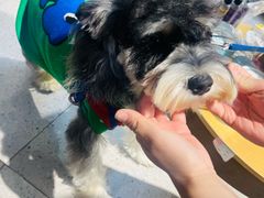 -FAELING PETS美天灵宠物(富力广场店)