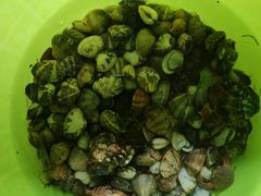 -东戴河风景区-止锚湾