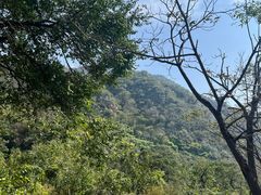 -大岭沟猕猴桃谷风景区