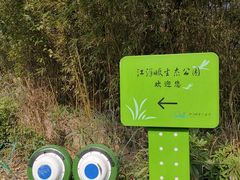 -西湖风景区-江洋畈生态公园