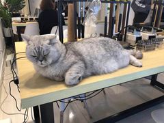 -Oasis绿洲银饰珍珠手作diy(壹方城店)