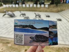 -广东惠东海龟国家级自然保护区