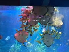 -泉城欧乐堡海洋极地世界