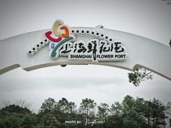 -上海鲜花港