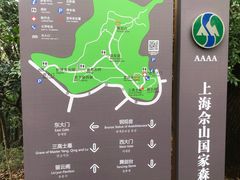 -上海佘山国家森林公园天马山园