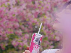 -天适樱花悠乐园