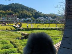 -红山村