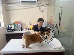 -思琪宠物医院(昆山花桥店)