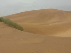 -亿利库布其七星湖沙漠生态旅游区