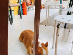 -小梁哥云吞面(黄贝岭店)