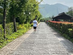 -帐篷客·溪龙茶谷度假酒店