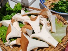 -王奋斗贵州酸汤牛肉火锅