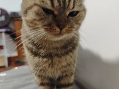 -应天大明王朝·南京菜创始店(中山陵店)