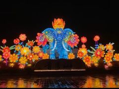 -钱江新城灯光秀