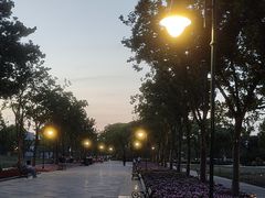 -新江湾城公园