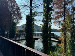 -白云湖畔酒店-湖畔餐厅