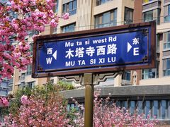 -木塔寺遗址生态公园