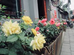 -北京小凤仙青楼文化主题旅舍