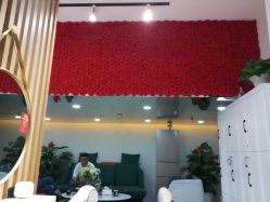 -尚·丹尼Hair