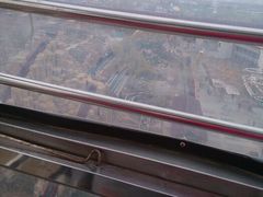 -石家庄市植物园