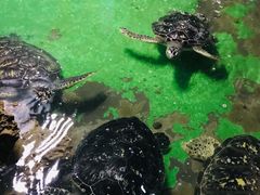 -常州海昌海洋探索馆