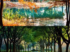 -贡湖湾湿地公园