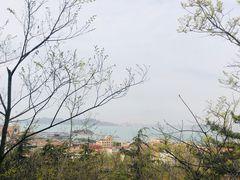 -信号山公园