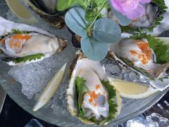 -千岛蚝高压锅生蚝·人参火锅(白云万达店)