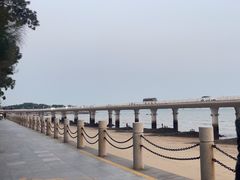 -白城沙滩