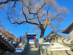 -北山公园