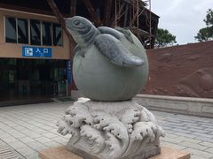 -广东惠东海龟国家级自然保护区