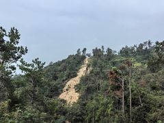 -青龙山国家森林公园