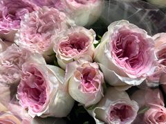 -循礼门鲜花花市(武汉循礼门店)