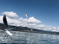 -丽江泸沽湖景区