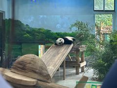 -临沂动植物园