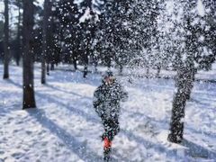 -长春市南湖公园