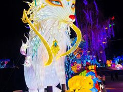 -淄博花灯齐彩城