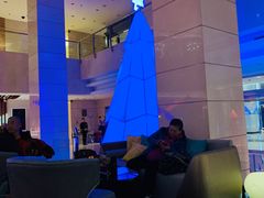 -北京丽亭华苑酒店