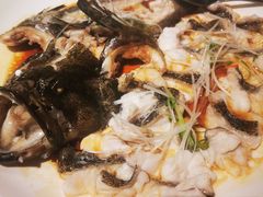石斑鱼-衡山汇·高级粤菜(霄云路店)