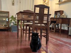 珍珠-春风十里咖啡馆