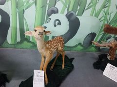 -西安秦岭野生动物园