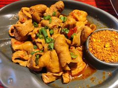 卤水肥肠-谭鸭血老火锅(远大购物广场店)
