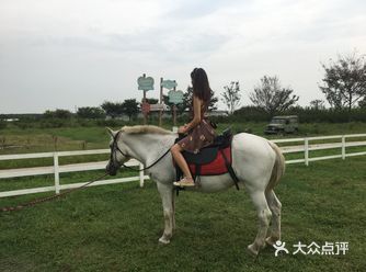 「田田果园」 名字:上海田田牧场 地址:上海松江区车