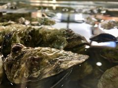 -一号码头蒸汽海鲜自助