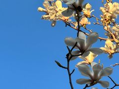 -北京古城老院厉晓麟精致菜