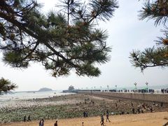 -栈桥景区