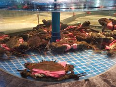 -海立阁海鲜江浙菜(漕河泾印象城店)