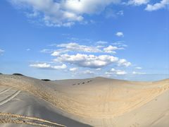 -库伦旗银沙湾旅游景区