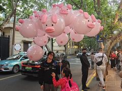 -WHEN PIGS FLY当猪飞